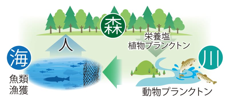 森・川・海のエコシステム